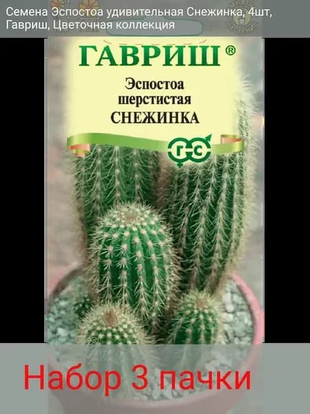 Эспостоа удивительная Снежинка 4шт (набор 3шт)