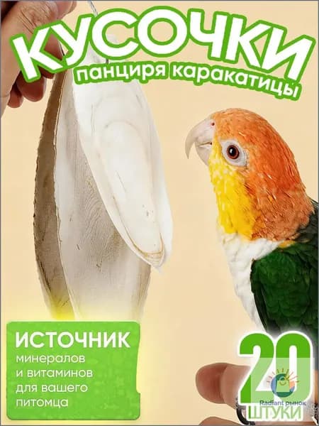 20 штук,сепия для попугаев,игрушки для попугаев волнистых
