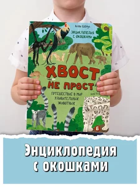 Книга детская энциклопедия с окошками Виммельбух 5+