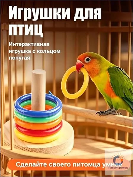 Премиальный интерактивный набор колец для развития домашних попугаев, применяемый как развлекательный тренажер для разных пород птиц.