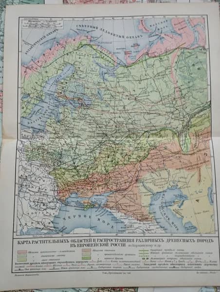 Географическая карта антикварная. Растительность России. 1905 год