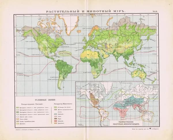 Растительный и животный мир. Антикварная географическая карта. Россия, 1900 год