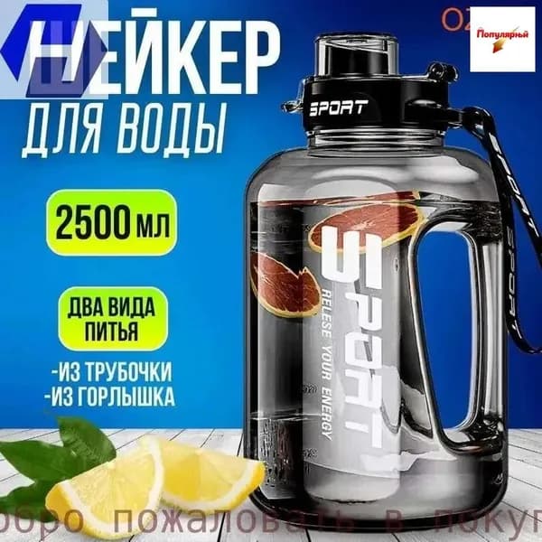 Шейкер спортивный, 2500 мл