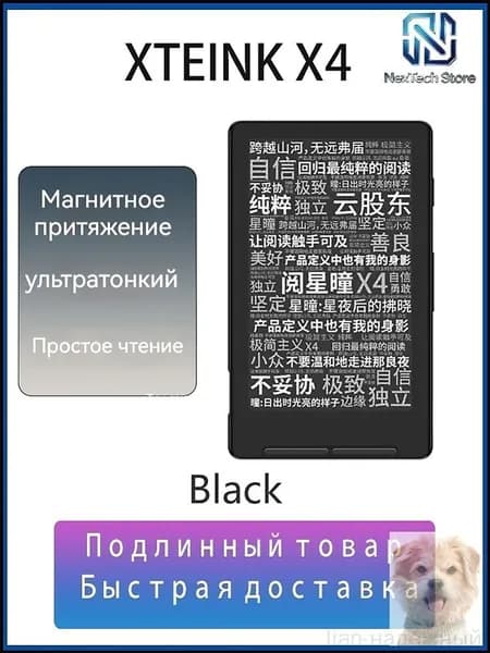 4.3" Электронная книга XTEINK X4, черный