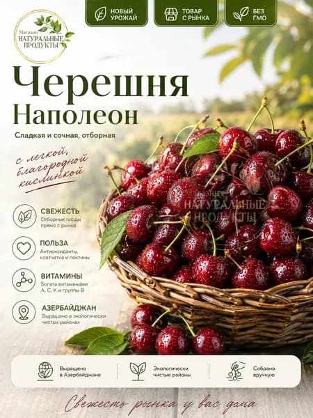 Черешня Наполеон свежая, Азербайджан, 500 ,г новый урожай 2026, крупная, сладкая