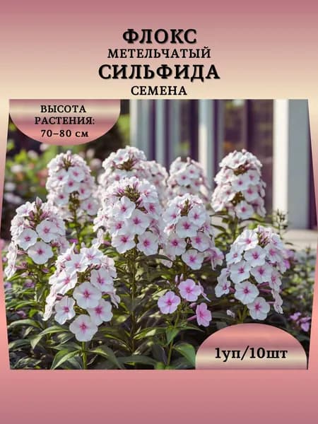 Флокс метельчатый "Сильфида" семена, 1 пачка