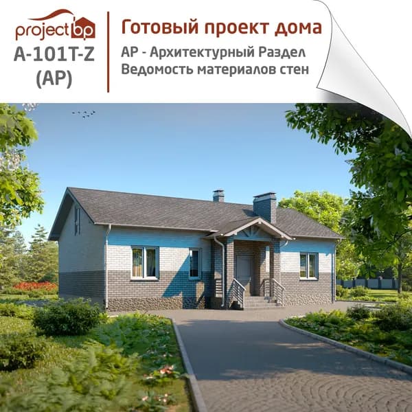 Проект одноэтажного дома с террасой, зоной барбекю и камином