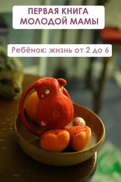 Ребёнок: жизнь от двух до 6 | Мельников Илья Валерьевич | Электронная книга