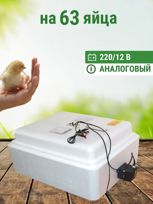 Инкубатор Несушка на 63 яйца 220 12 В