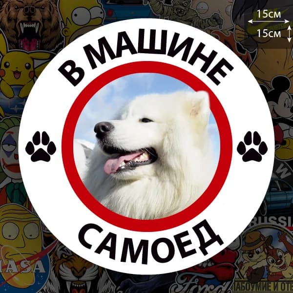 Наклейка Собака в машине / самоед