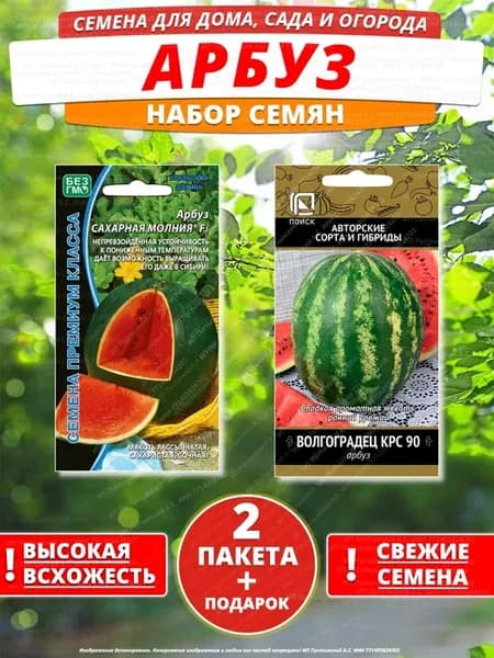 Семена арбуз для дома сада посадки