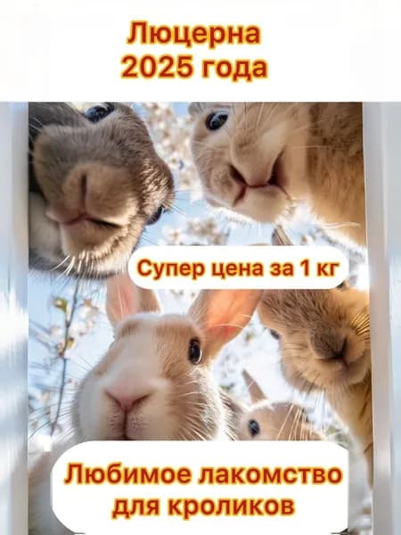 сено луговое люцерна