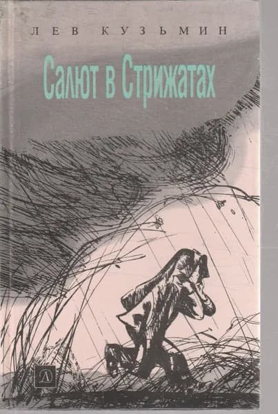 Салют в Стрижатах. 1990г. | Кузьмин Лев Иванович