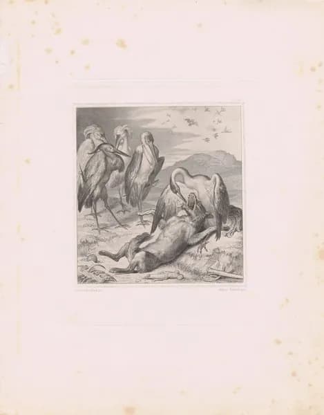 Лис Патрикеич (Рейнеке-лис). Журавль вытаскивает кость из горла волка. Офорт. Россия, Санкт-Петербург, оттиск 1901 (доска 1867) года