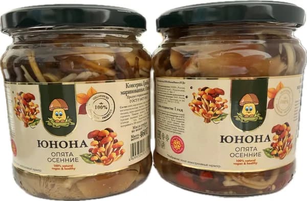 Опята маринованные ЮНОНА 460 гр 1 шт