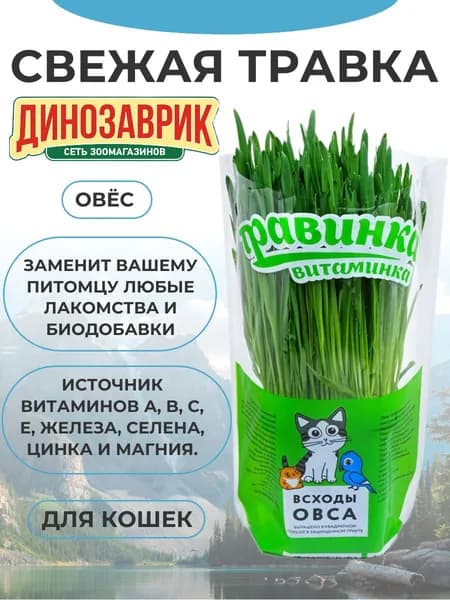 Лакомство для любых кошек Свежая травка Травинка-витаминка Овес в горшочке 200гр