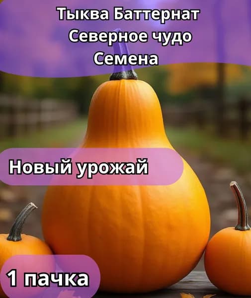Тыква баттернат Северное чудо, семена 10 шт