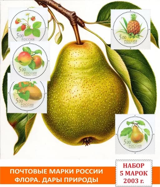 Почтовые марки России. Флора. Дары природы. 5 марок 2003 года выпуска с ароматизированным клеем.