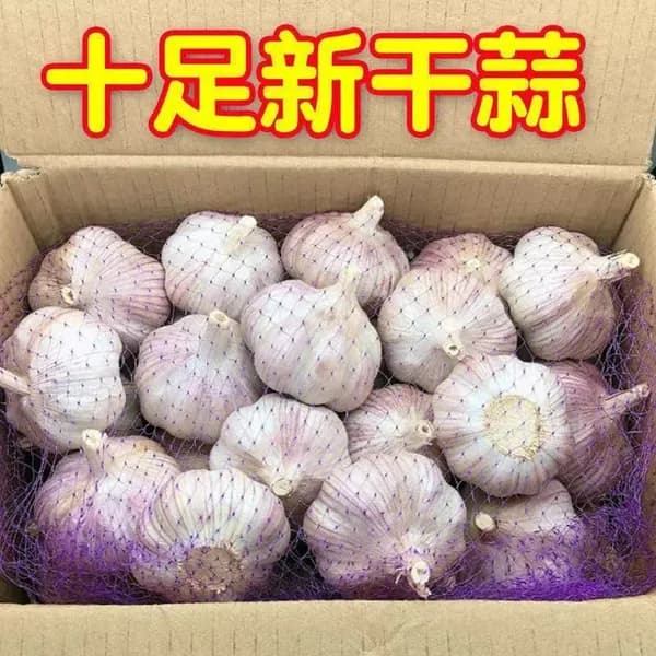 Сухой фиолетовый чеснок крупного размера, свежий натуральный чеснок, продукт для приготовления блюд и повседневного использования