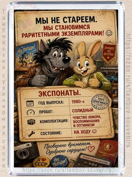 Магнит на холодильник "Ну погоди, мы не стареем"