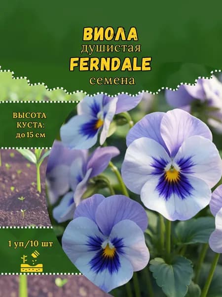 Виола душистая "Ferndale" семена, 1 пачка