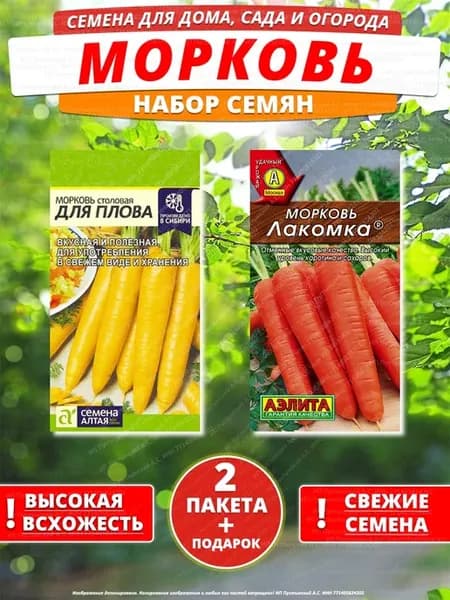 Семена морковь для дома сада посадки