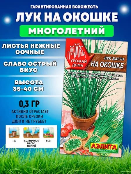 Семена лука на зелень на окошке