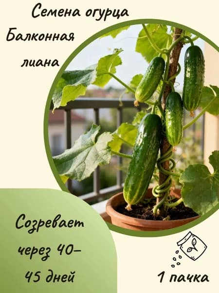 Огурец Балконная лиана, 10 шт. семян