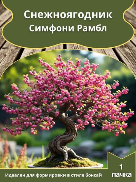 Снежноягодник Симфони Рамбл , семена 10 шт. (бонсай)