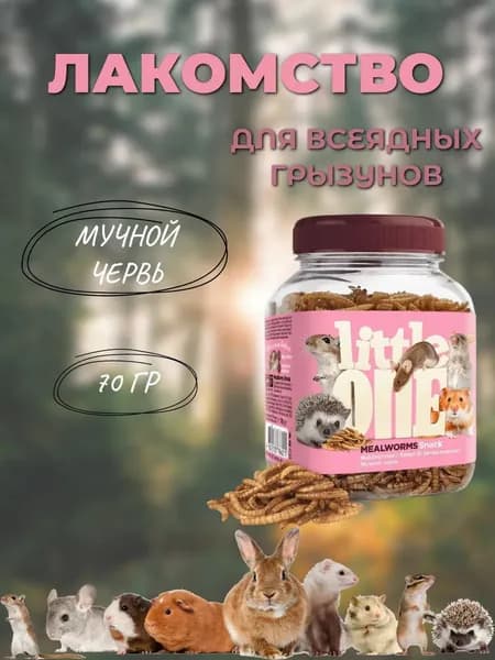 Лакомство для всеядных грызунов Мучной Червь. 70 г (Little One)