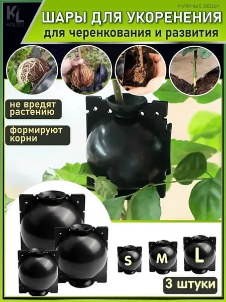 KoLeli Шар для укоренения растений Коробка для 3 шт