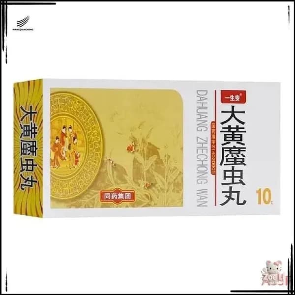 Dahuang Zhechong Wan - добавка для улучшения кровообращения и восстановления крови