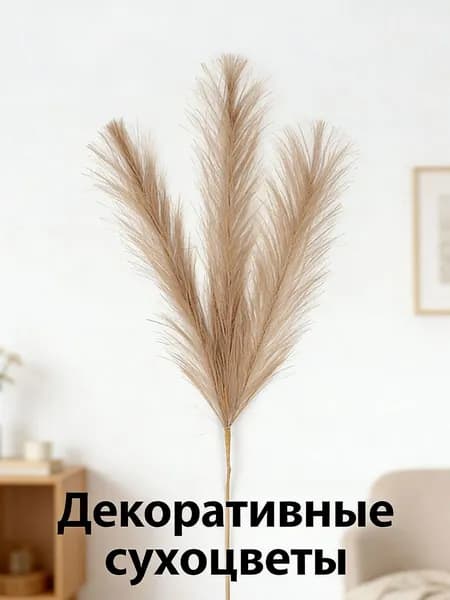 Сухоцветы Камышовая трава бирюзовый