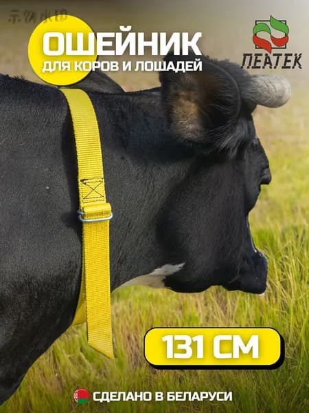 Ошейник для крс коров телят лошадей быков555