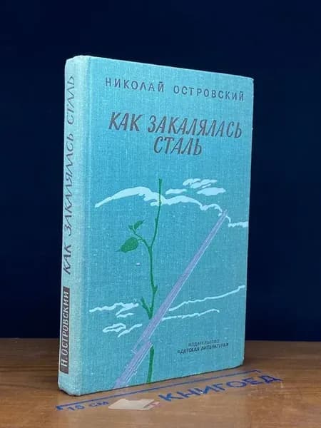 Как закалялась сталь — Николай Островский, классика
