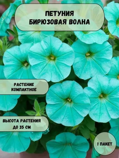 Петуния Бирюзовая волна семена 10 шт
