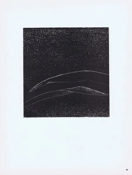 Крыло. Стасис Красаускас. Антикварная цинкография. СССР, 1966 год