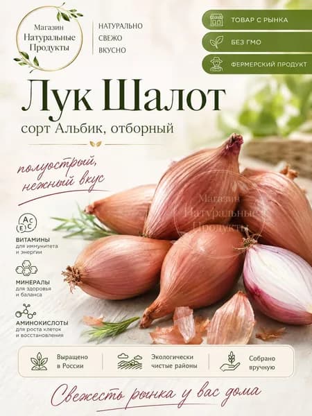 Лук Шалот 1000 г Россия