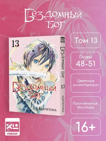 Бездомный бог. Том 13. Манга | Адатитока