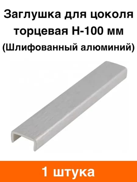 Заглушка для цоколя торцевая H-100 мм (шлифованный алюминий) - 1 шт
