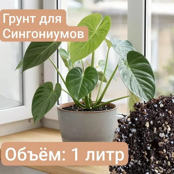 Авторский грунт для Сингониумов 1 литр
