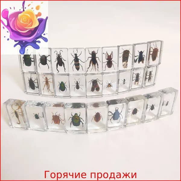 Набор прозрачных коробок для образцов насекомых