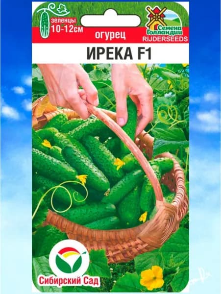 огурцы "ИРЕКА F1" семена Сибирский Сад