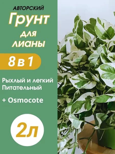 Грунт для Лианы 2л готовый