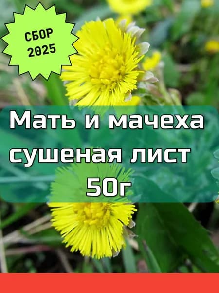 Мать и мачеха лист сушеный резаный. Сбор 2025. 50г. Лесной Алтай