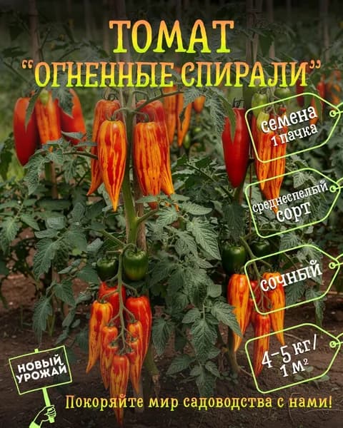 Томат Огненные спирали, семена, 10 шт.