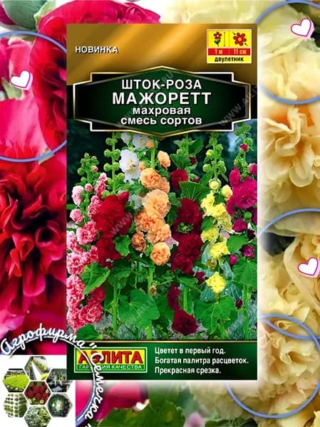 Аэлита Семена ,1шт