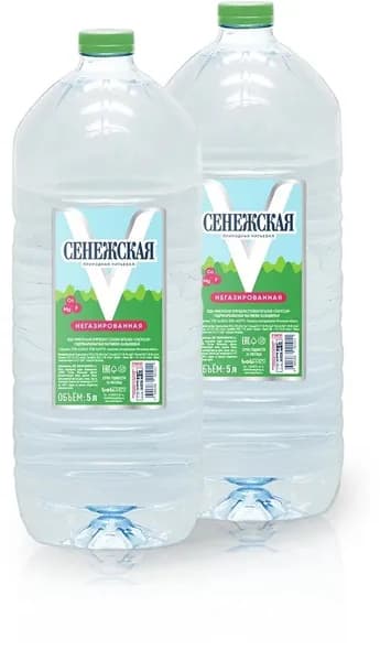 Вода минеральная Сенежская (без газа) 5л. (2 штуки)