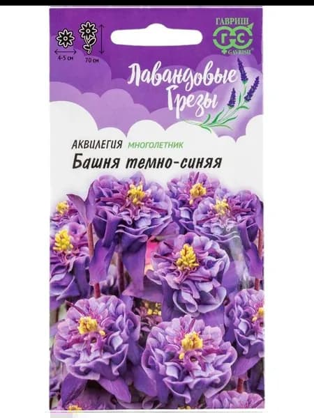 Аквилегия Башня темно-синяя и астра Принцесса Триколор