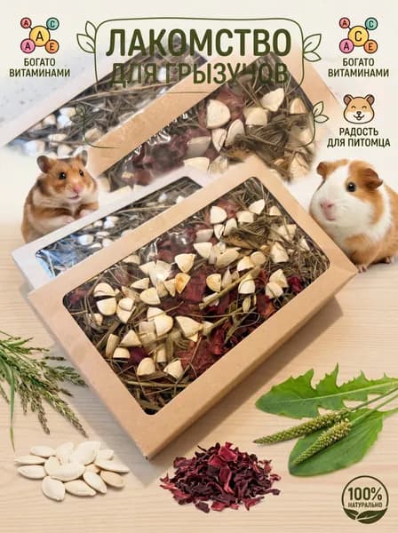 Лакомство для грызунов с тыквой и свеклой
